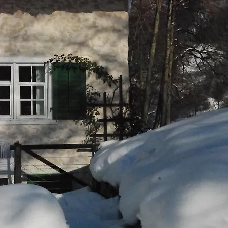 Bergbauernhaus An Wasserfall Und Waldrand Schwandi Exterior photo
