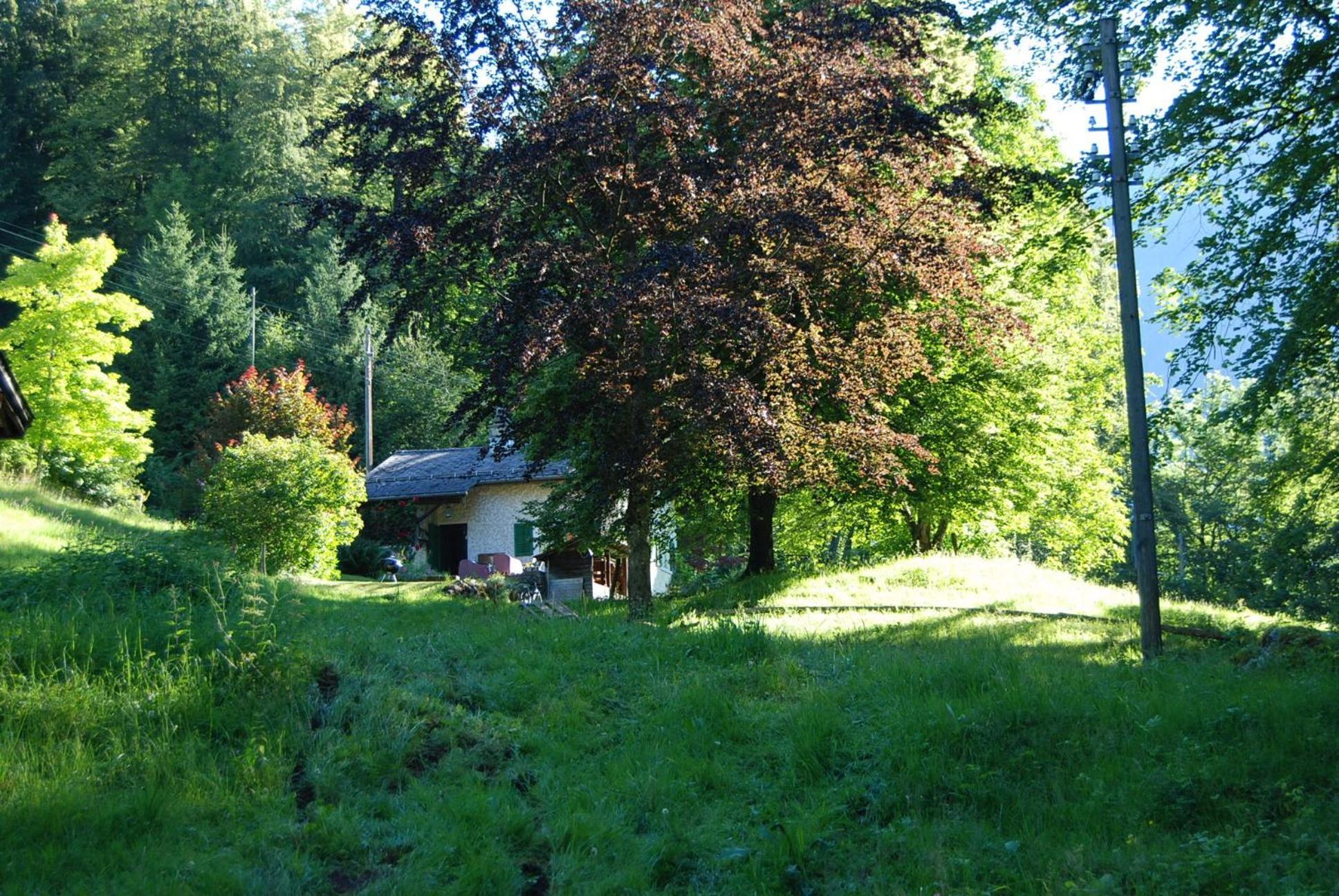 Bergbauernhaus An Wasserfall Und Waldrand Schwandi