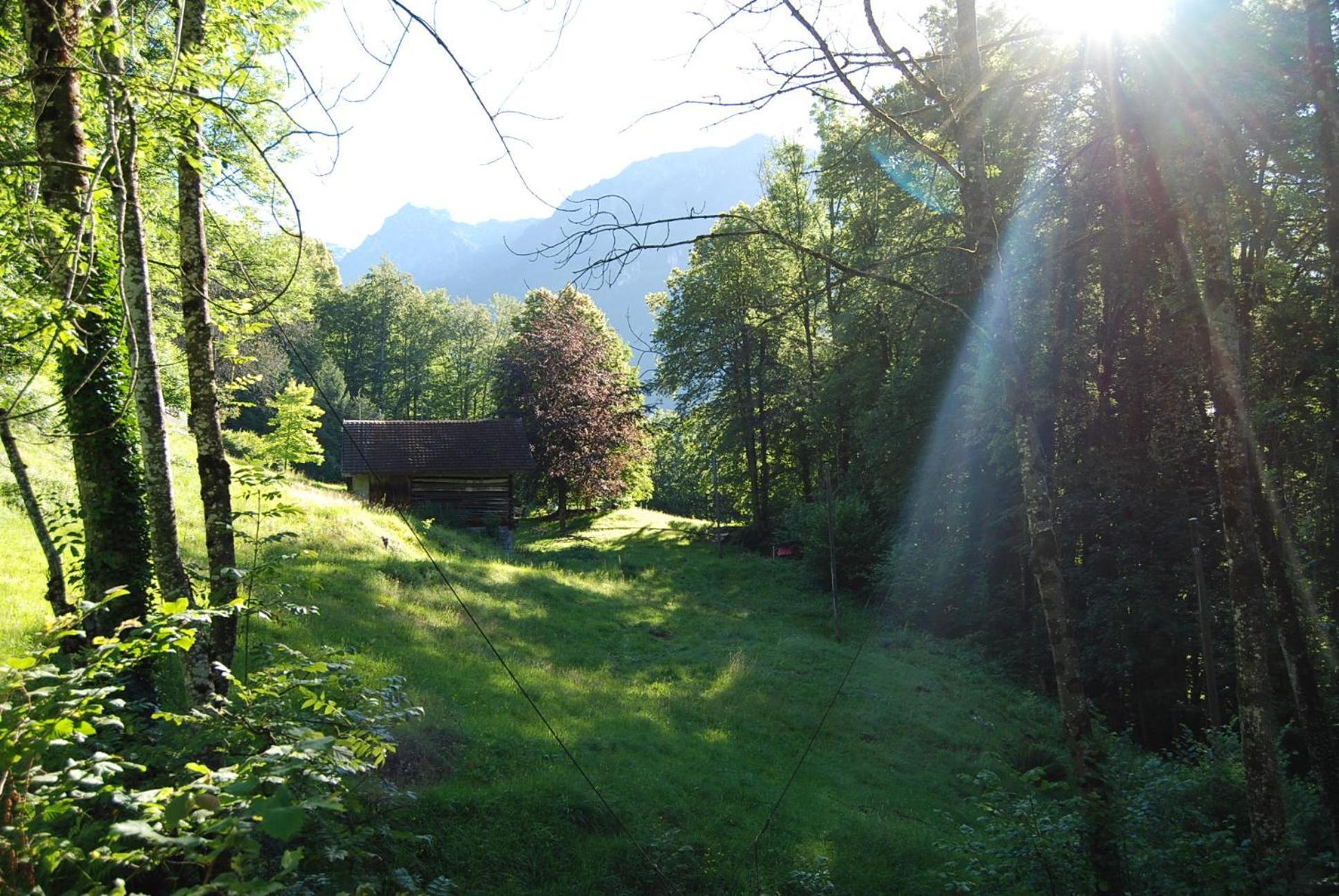 Bergbauernhaus An Wasserfall Und Waldrand Vakantiehuis